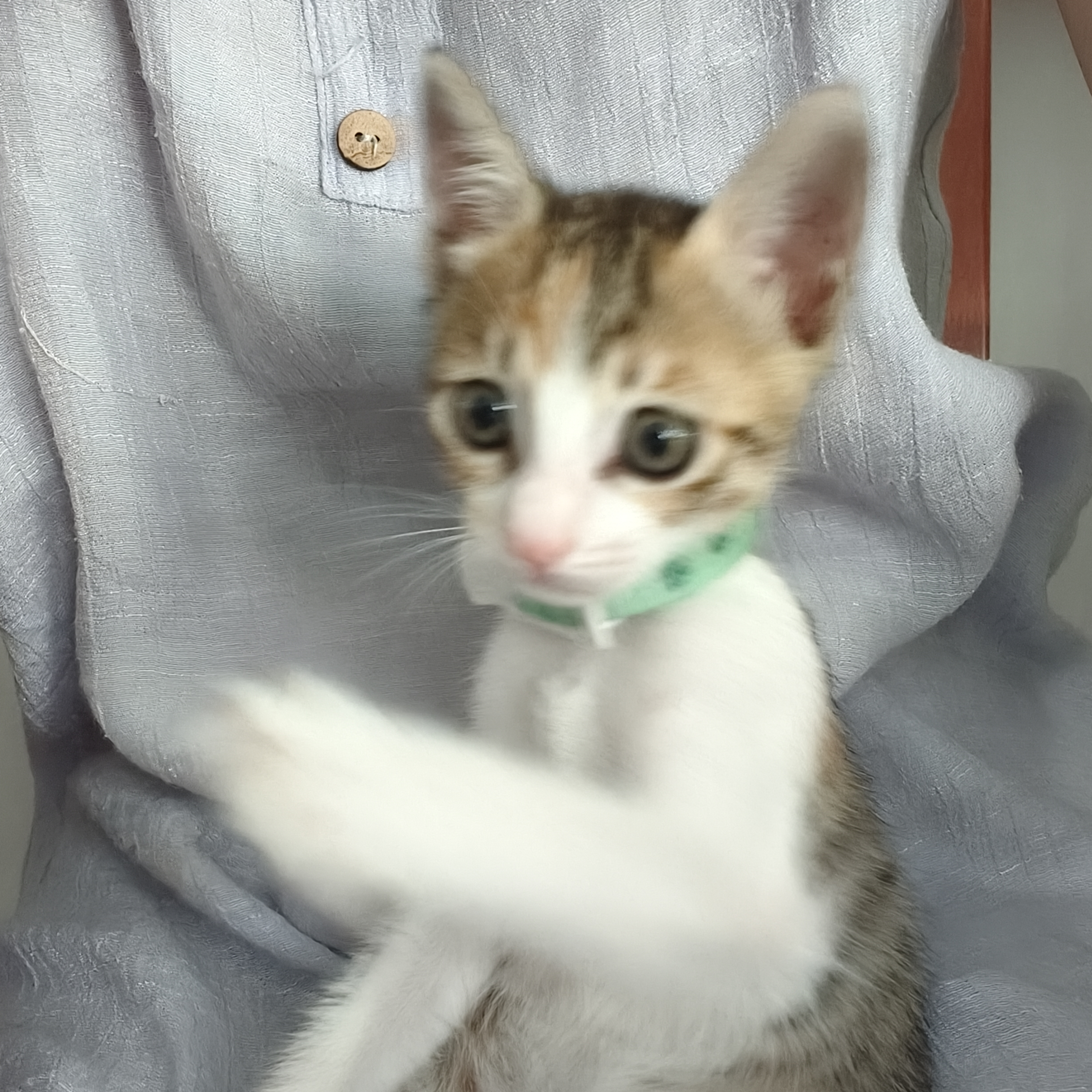 上传人头像