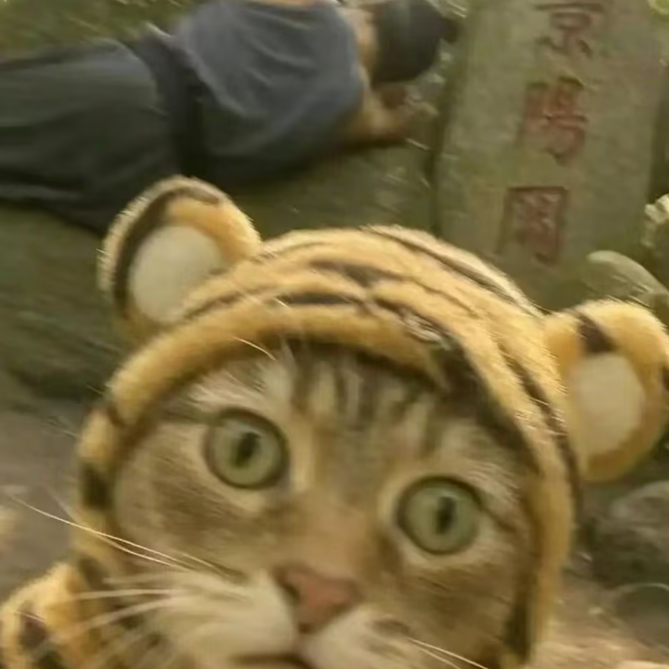 上传人头像