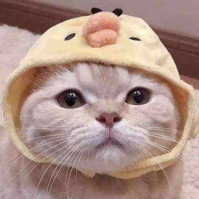 上传人头像